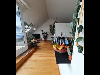  Colocation � louer 4 pi�ces 115 m�