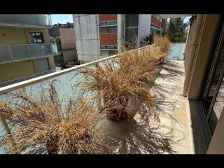  Colocation � louer 3 pi�ces 91 m�