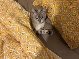  Colocation � louer 6 pi�ces 95 m�