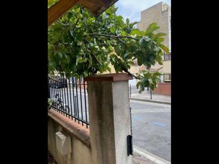  Colocation � louer 5 pi�ces 85 m�