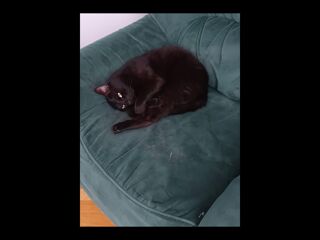  Colocation � louer 4 pi�ces 75 m�