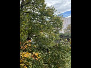  Colocation � louer 5 pi�ces 84 m�