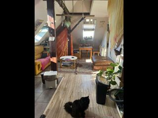  Colocation � louer 2 pi�ces 80 m�