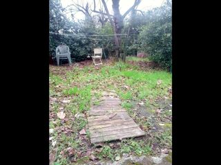  Colocation � louer 6 pi�ces 110 m�