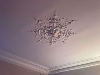  Colocation � louer 3 pi�ces 50 m�