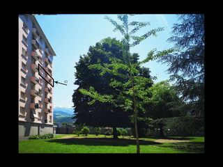  Colocation � louer 4 pi�ces 72 m�