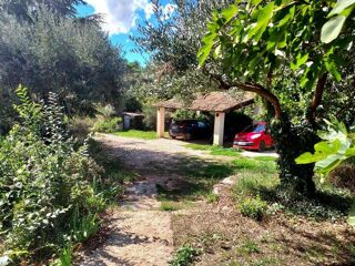  Colocation � louer 5 pi�ces 200 m�