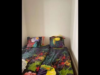  Colocation � louer 2 pi�ces 37 m�