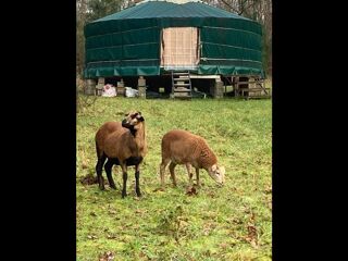  Colocation � louer 3 pi�ces 50 m�