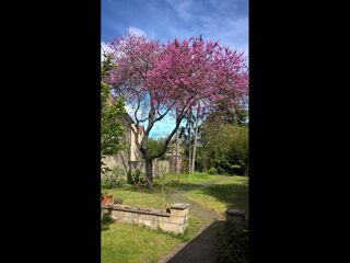  Colocation � louer 5 pi�ces 90 m�