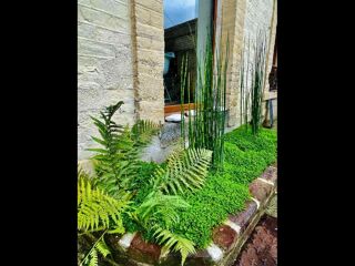  Colocation � louer 9 pi�ces 230 m�