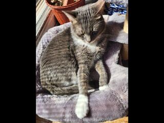  Colocation � louer 1 pi�ce 12 m�