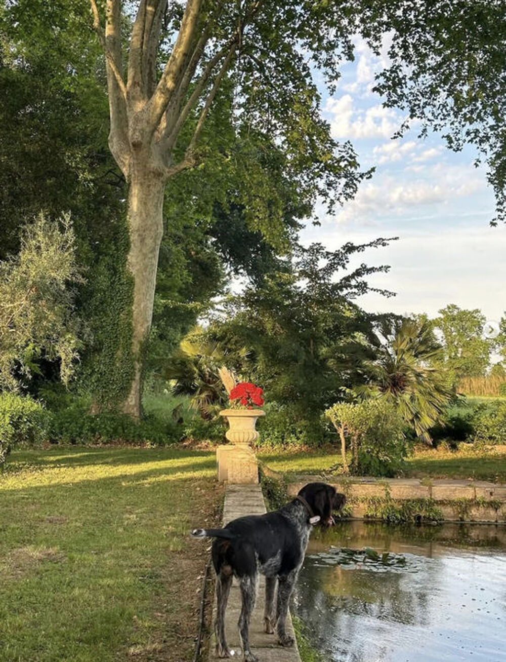 EXCLUSIVITÉ : Domaine d exception 'Mas de Bellombre'