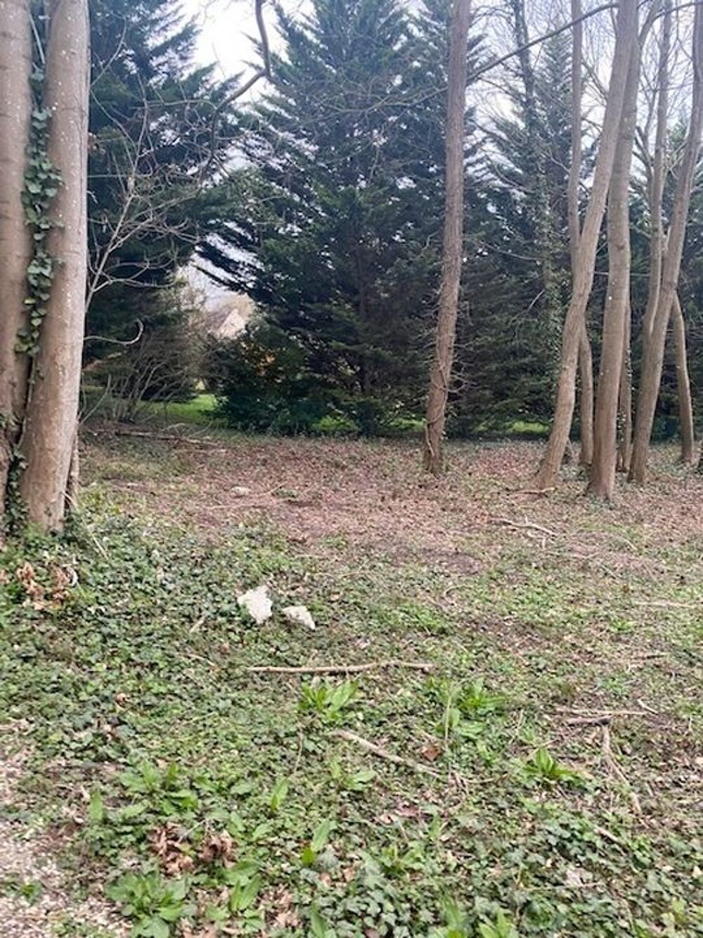 Vente Terrain Vente d'un Terrain de Loisire sur Le mee Le m�e-sur-seine