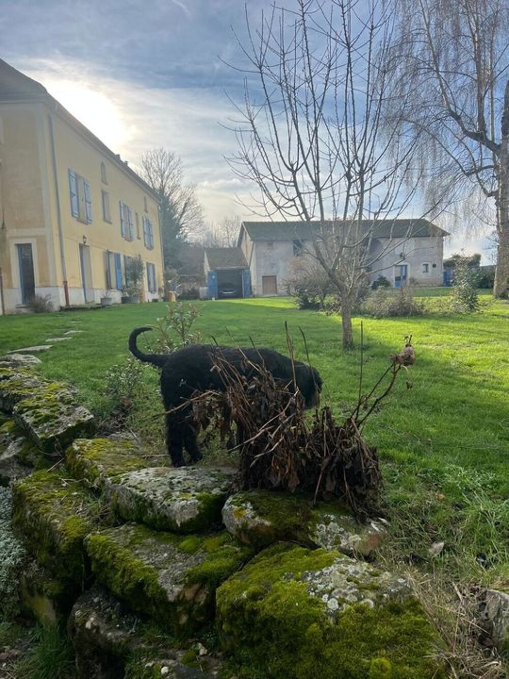 � vendre  Maison Torcy-en-Valois (02810)