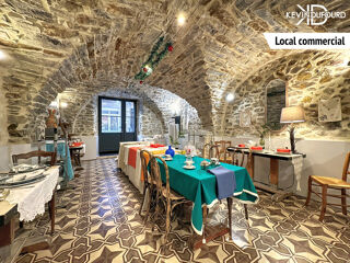  Maison � vendre 10 pi�ces 300 m�