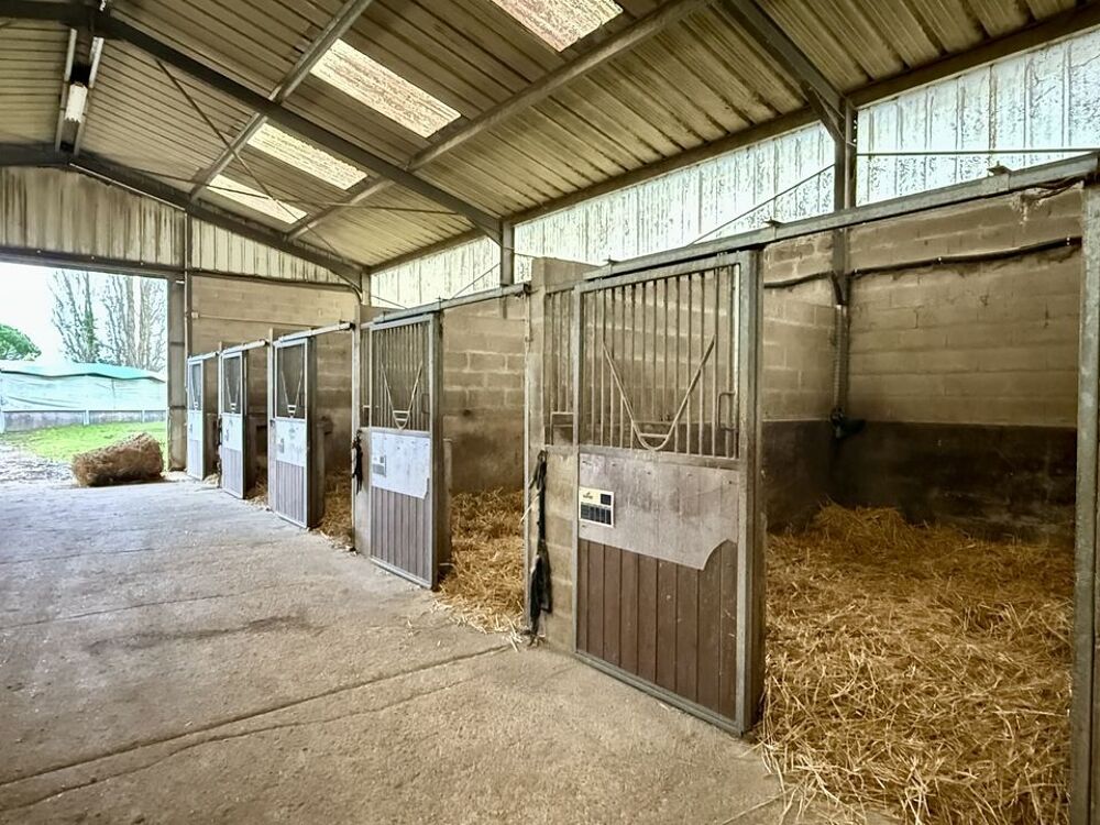 Ecurie 21 box à vendre-Secteur PROVINS-77