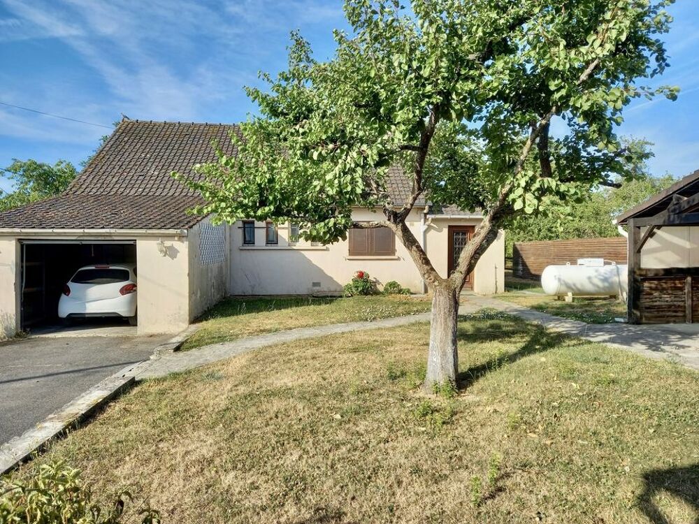Pavillon familial, grand garage, appartement sur grand terrain