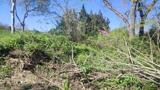  Terrain � vendre 1779 m�