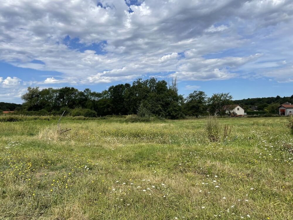 Vente Terrain Superbe terrain constructible sur la commune de BRUGHEAS 03700 Brugheas