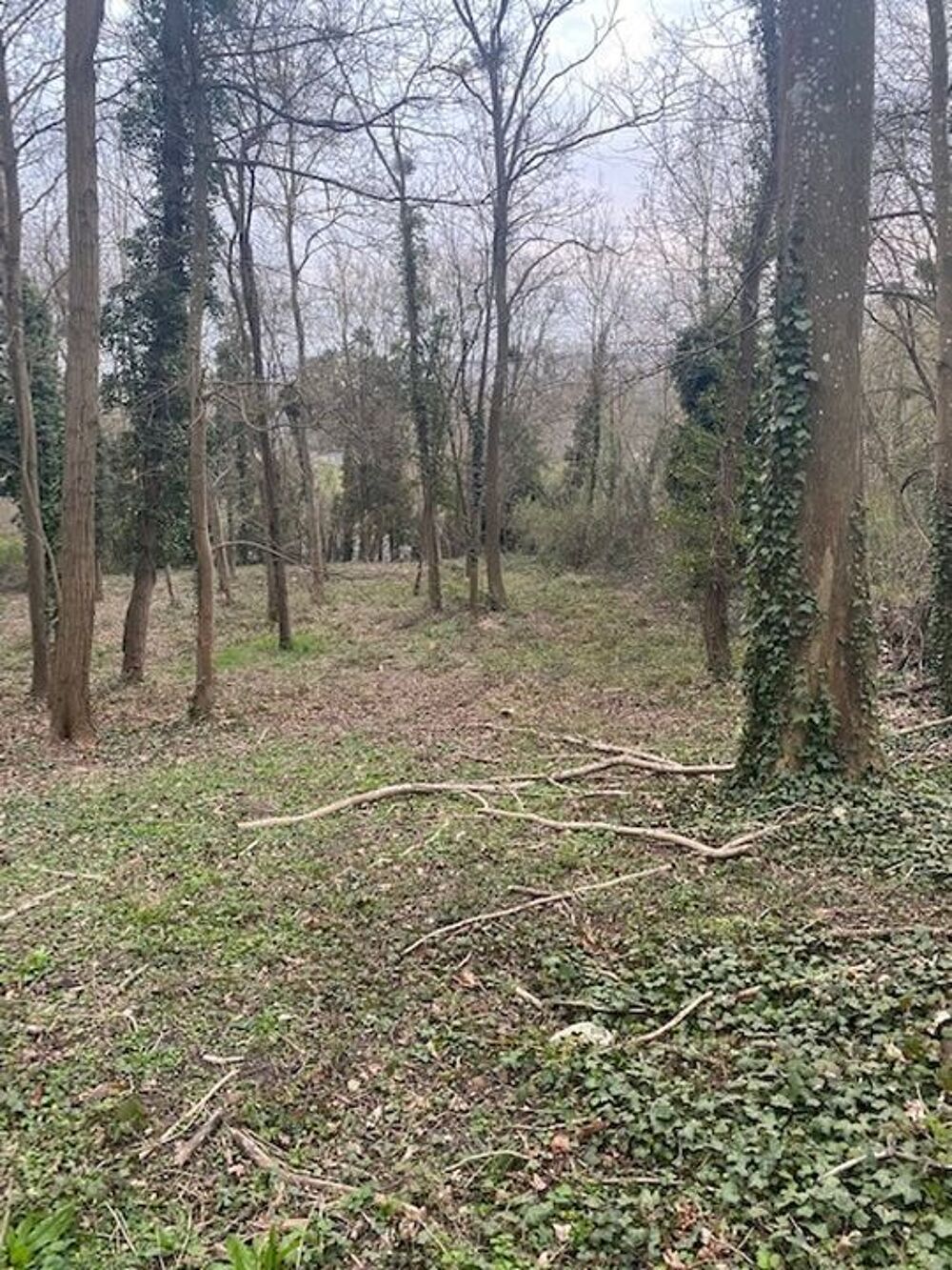 Vente Terrain Vente d'un Terrain de Loisire sur Le mee Le m�e-sur-seine