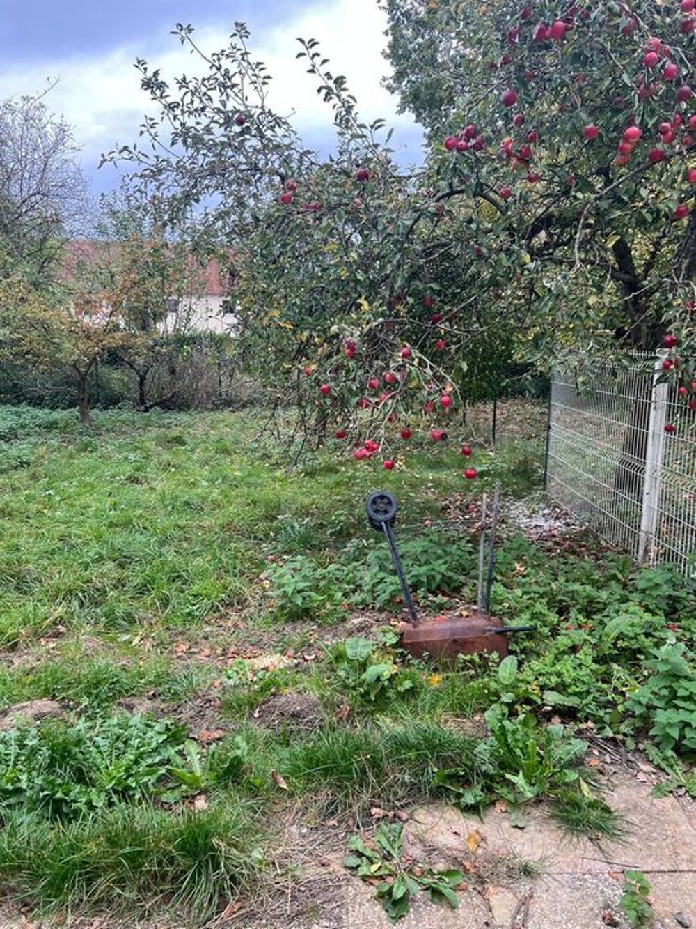 Vente Maison Maison à vendre à Viels-Maisons Montfaucon