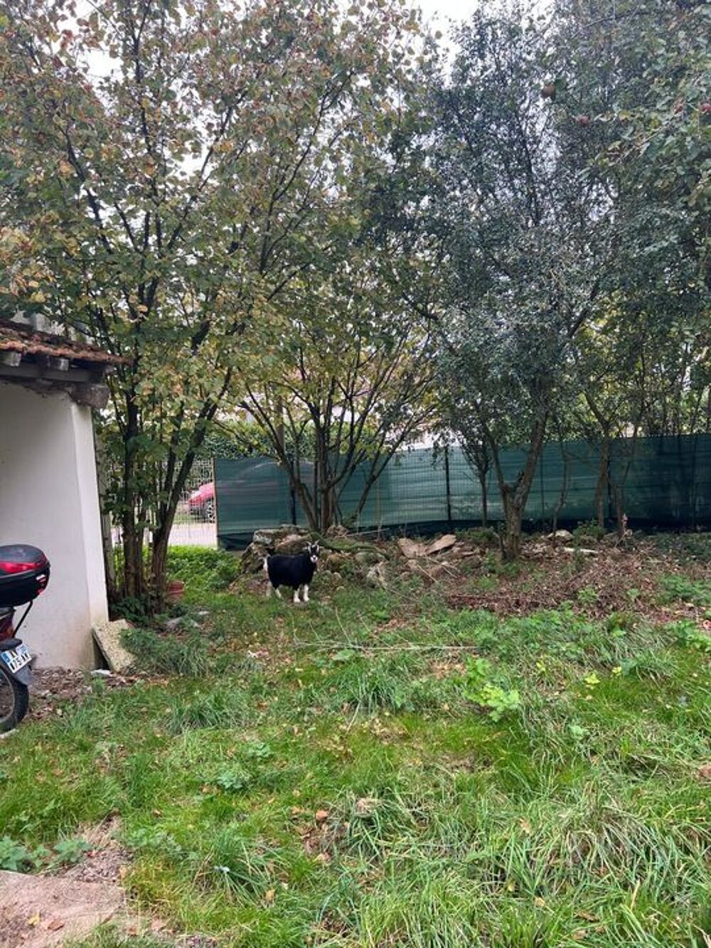 Vente Maison Maison à vendre à Viels-Maisons Montfaucon