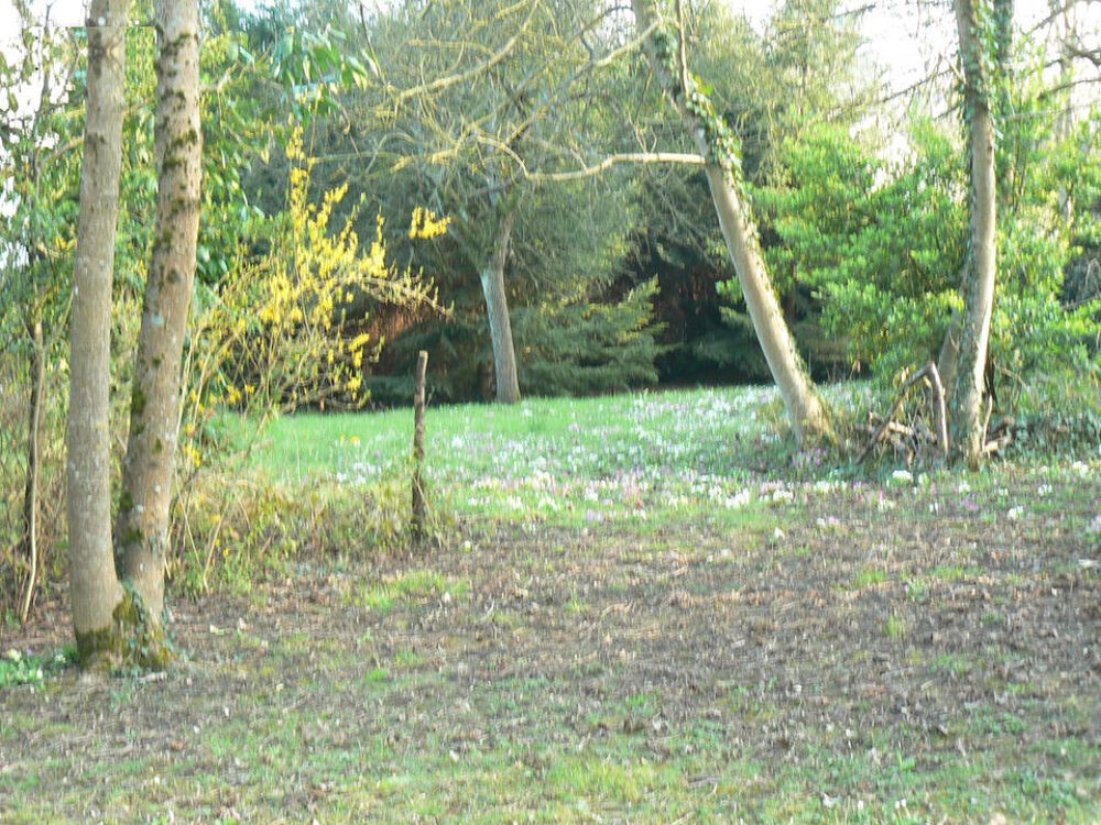 Vente Terrain Terrain constructible viabilisé 1800 m²  Villiers-sur-Morin Villiers sur morin