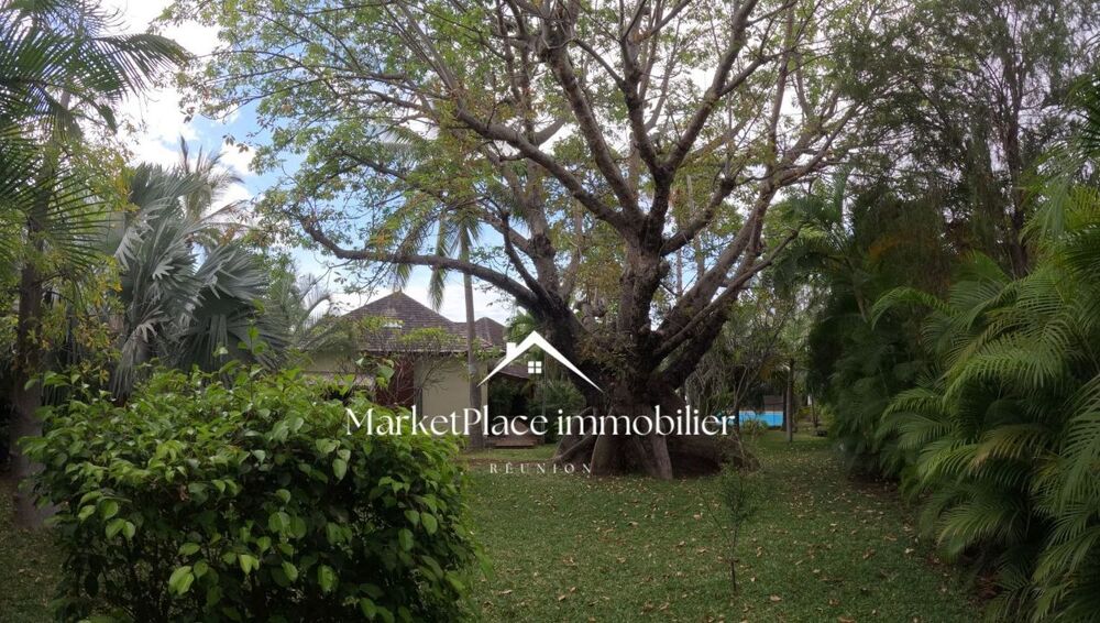 � vendre  Maison Saint-Gilles Les Bains (97434)