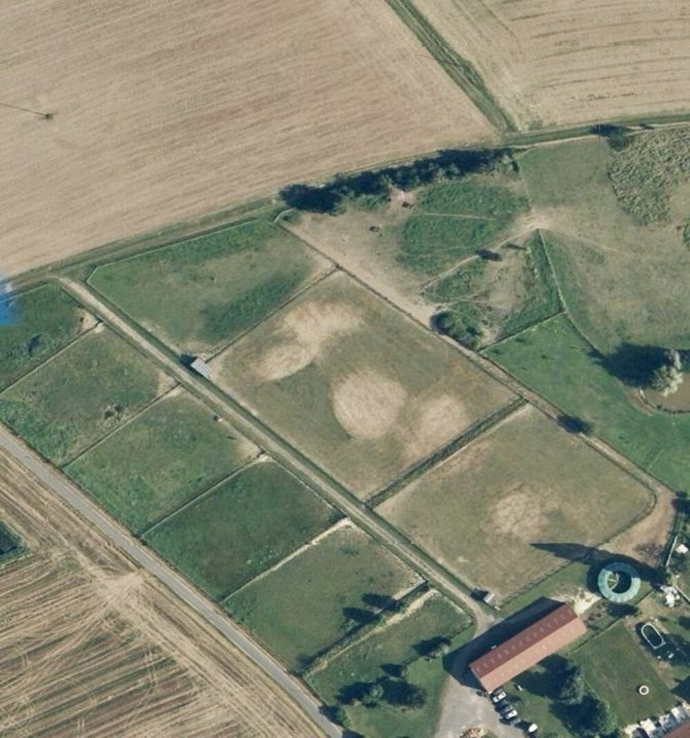 Ecurie 21 box à vendre-Secteur PROVINS-77
