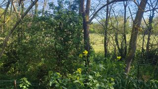  Terrain � vendre 1779 m�
