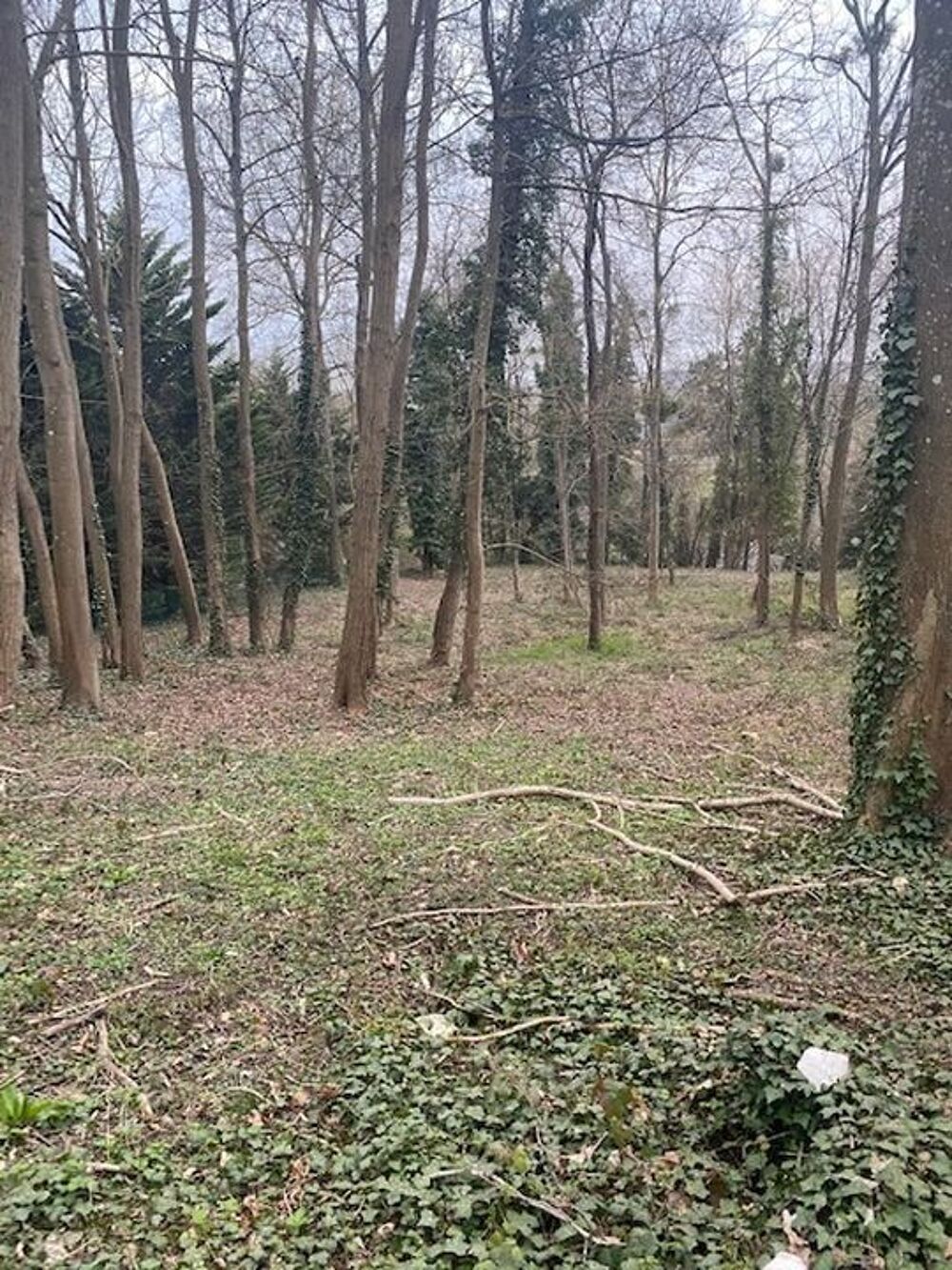 Vente Terrain Vente d'un Terrain de Loisire sur Le mee Le m�e-sur-seine