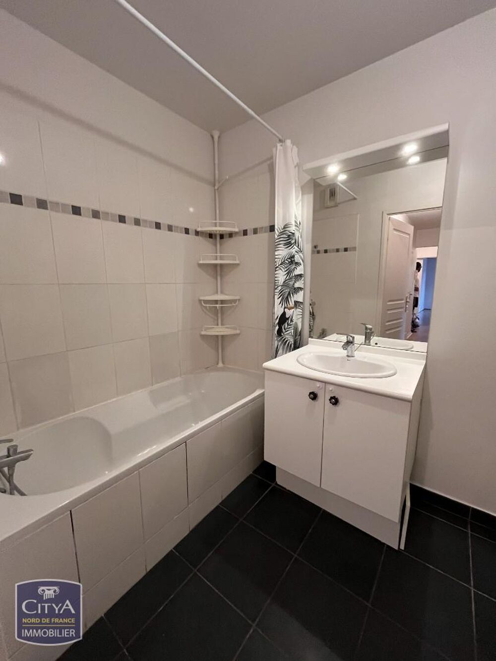 location Appartement - 3 pièce(s) - 77 m² Roubaix (59100)