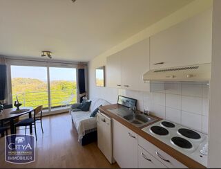  Appartement à louer 1 pièce 24 m²