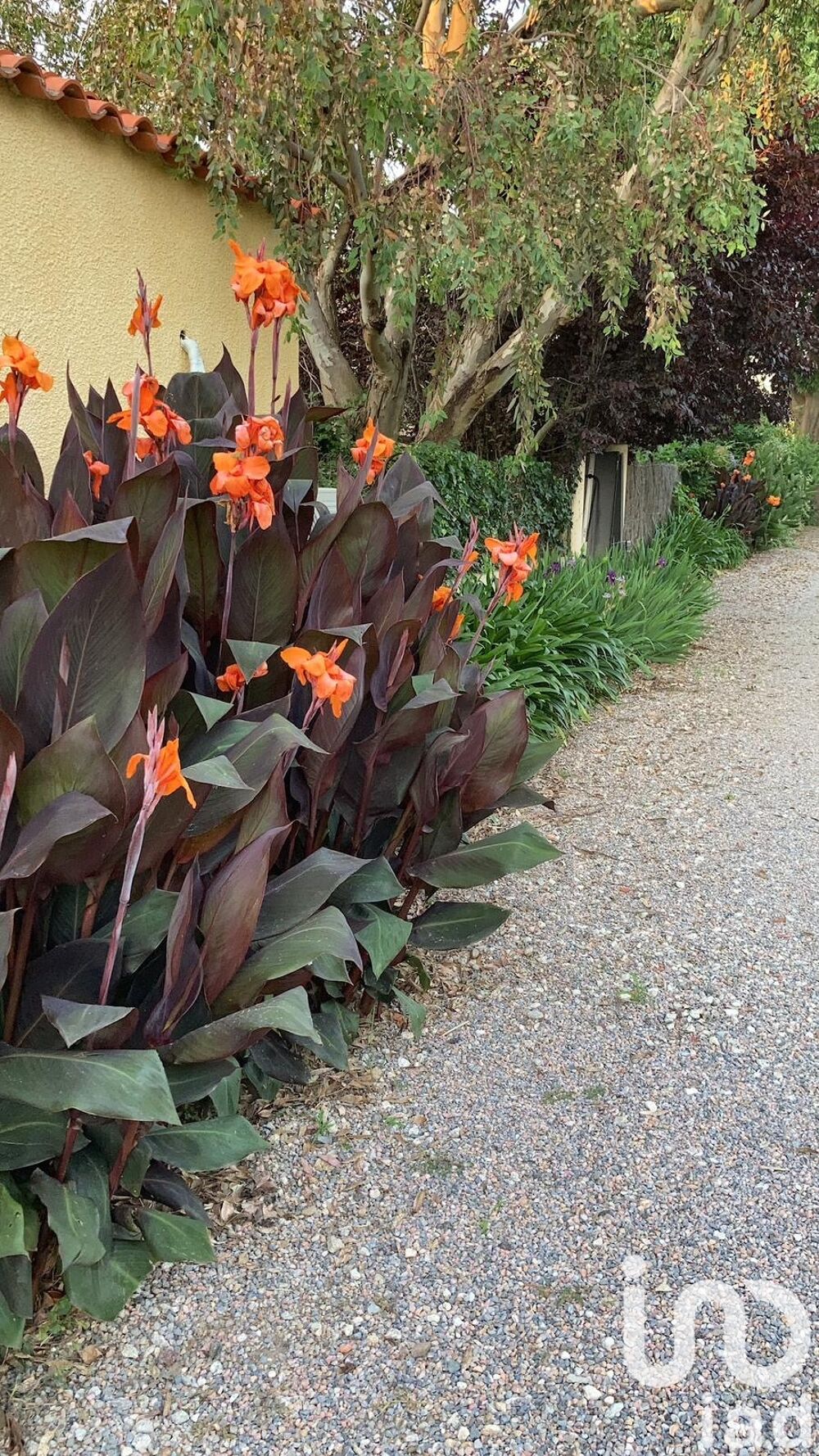  vendre  Maison Villelongue-de-la-Salanque (66410)