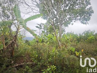  Terrain � vendre 919 m�