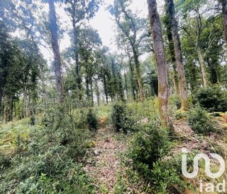  Terrain � vendre 288850 m�