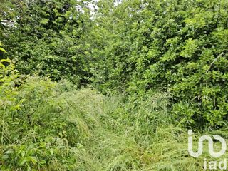  Terrain  vendre 2331 m