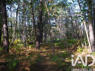  Terrain � vendre 44000 m�