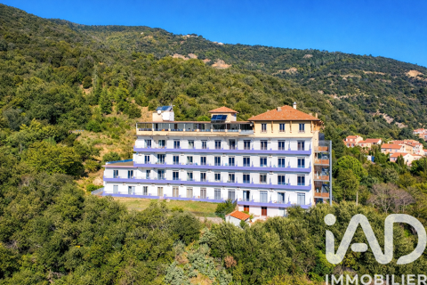 Vente B&acirc;timent 3 pi&egrave;ces 2100000 66110 Montbolo