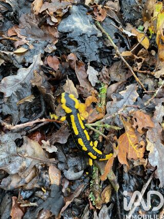  Terrain � vendre 3340 m�