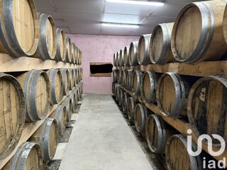  Propri�t�/ch�teau � vendre 10 pi�ces 459 m�