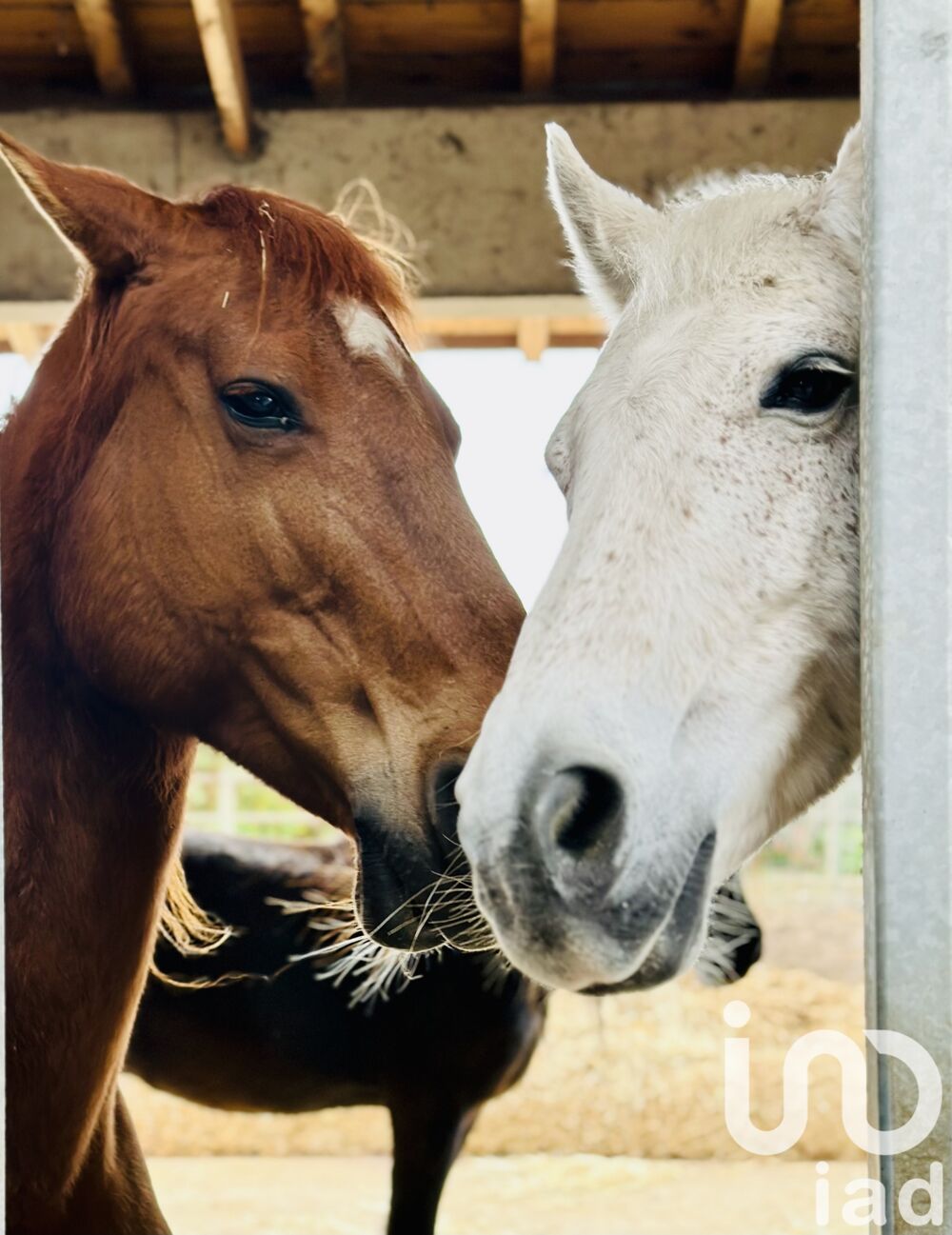 � vendre  Maison Ar�ais (79210)