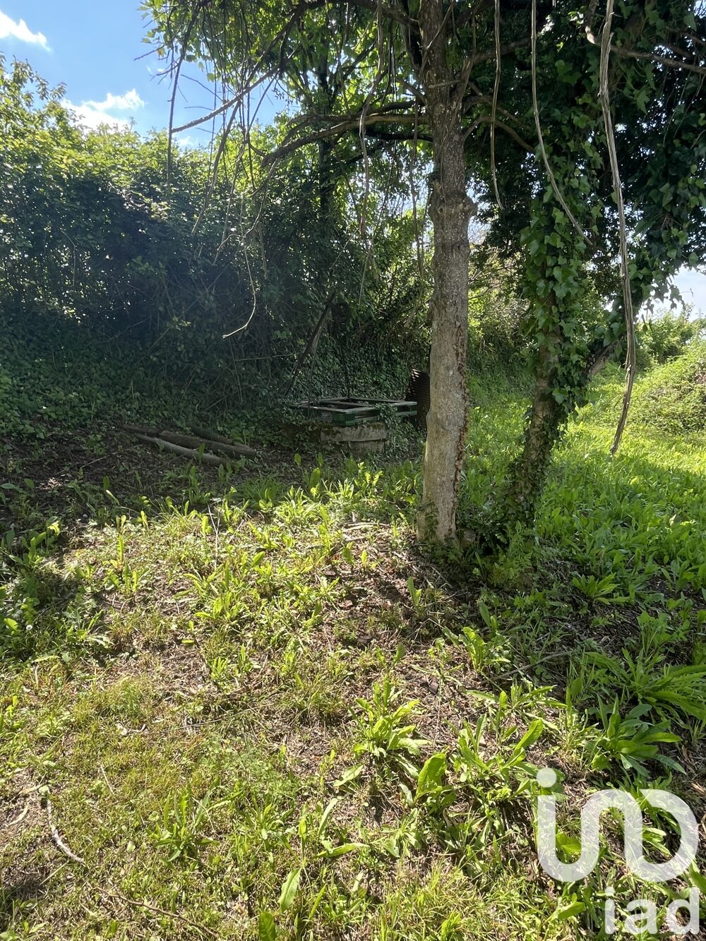 Vente Terrain Vente Terrain  btir 818 m² Archiac