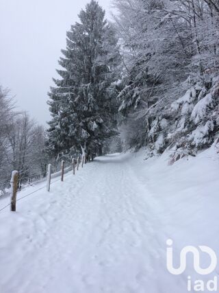  Terrain � vendre 2477 m�