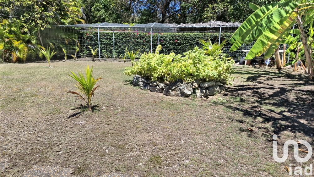 � vendre  Maison Saint-Fran�ois (97118)