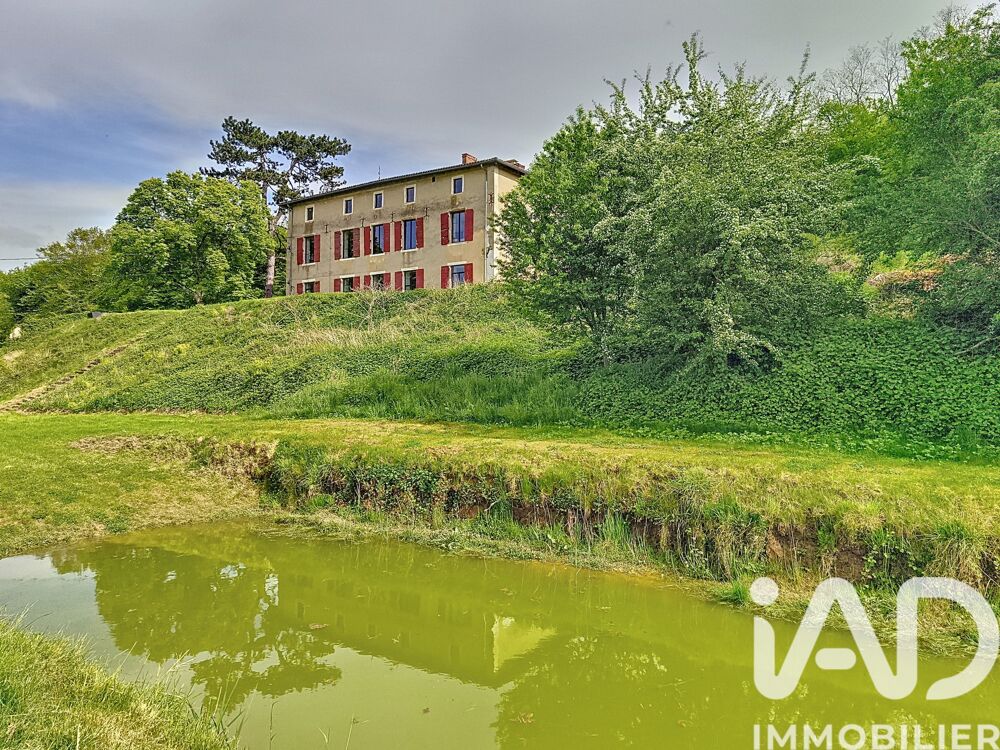 � vendre  Propri�t�/ch�teau Sept�me (38780)