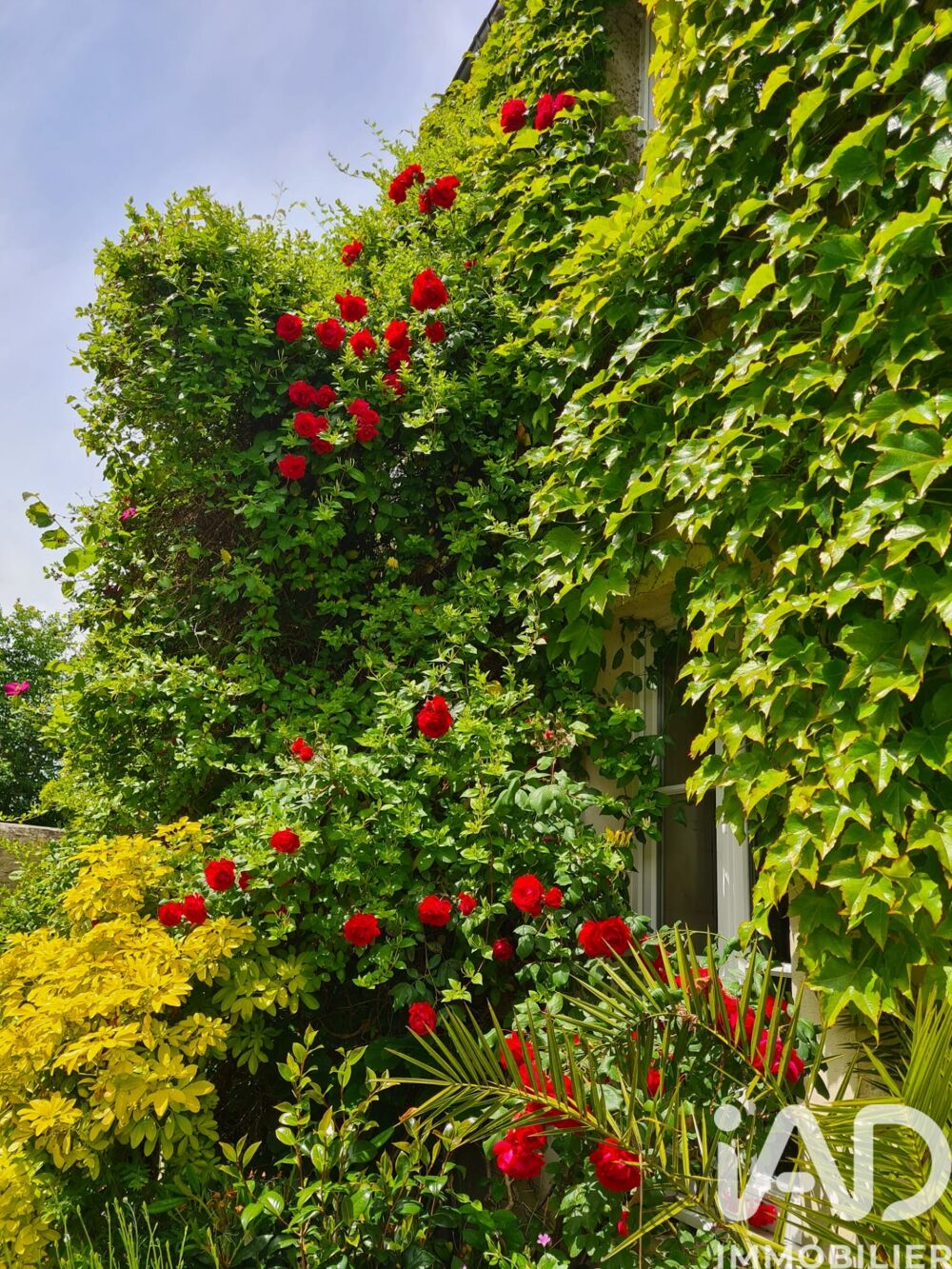 � vendre  Maison Vaux-sur-Aure (14400)