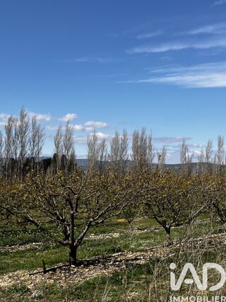  Terrain � vendre 103160 m�