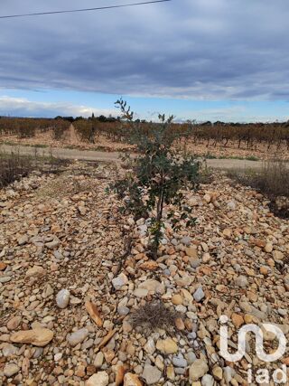  Terrain � vendre 13690 m�